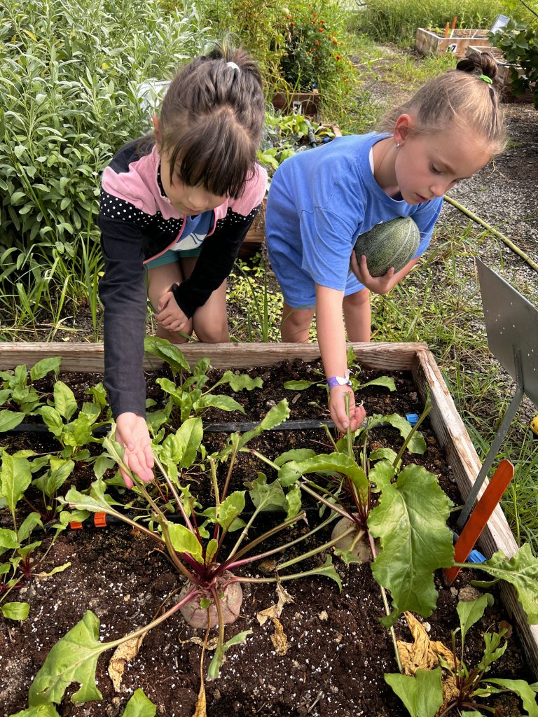 Project Healthy Kids is helping build a stronger future for children and families across West Virginia.